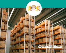 Best storage companies in dubai